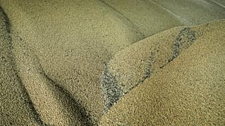 A isenção de tarifas pazra cereais e outros produtos ucranianos está a ter impacto negativo nalguns países europeus