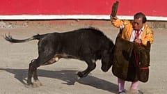 الصورة من المكسيك [أرشيف] 
