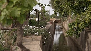 Una batalla contra los microcontaminantes y planes para reciclar el agua en Europa