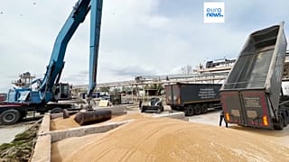 También se ha aprobado un paquete de 100 millones de euros para ayudar a los agricultores de estos cinco países, procedentes de la Política Agrícola Común.