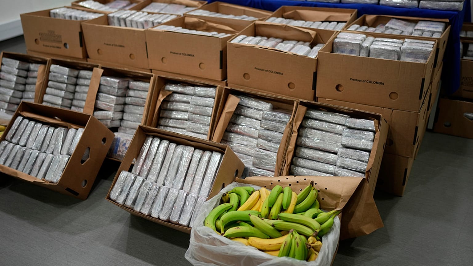 Das Kokain war in Bananenkisten auf sechs Paletten versteckt.