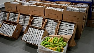 Das Kokain war in Bananenkisten auf sechs Paletten versteckt.