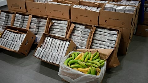 Packets of cocaine in fruit boxes are displayed for the media at the Portuguese police headquarters in Lisbon, Tuesday, May 2, 2023.