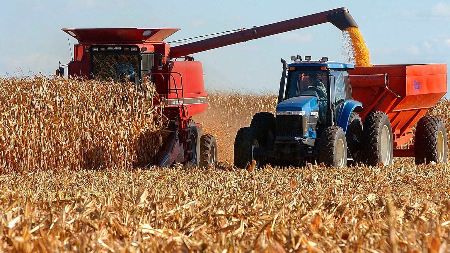FILE: John Wilcox unloads his combine while his son Dave drives the tractor alongside while harvesting corn in Springfield, Ill., Monday, Sept. 29, 2003.