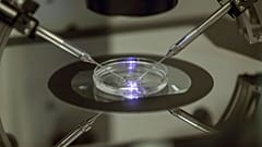 IVF usually requires a qualified embryologist working on a petri dish