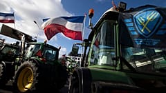 Die niederländische Landwirte-Bürger-Bewegung - BoerBurgerBeweging (BBB) - entstand nach dem Protest gegen eine radikale Einschränkung der landwirtschaftlichen Emissionen.