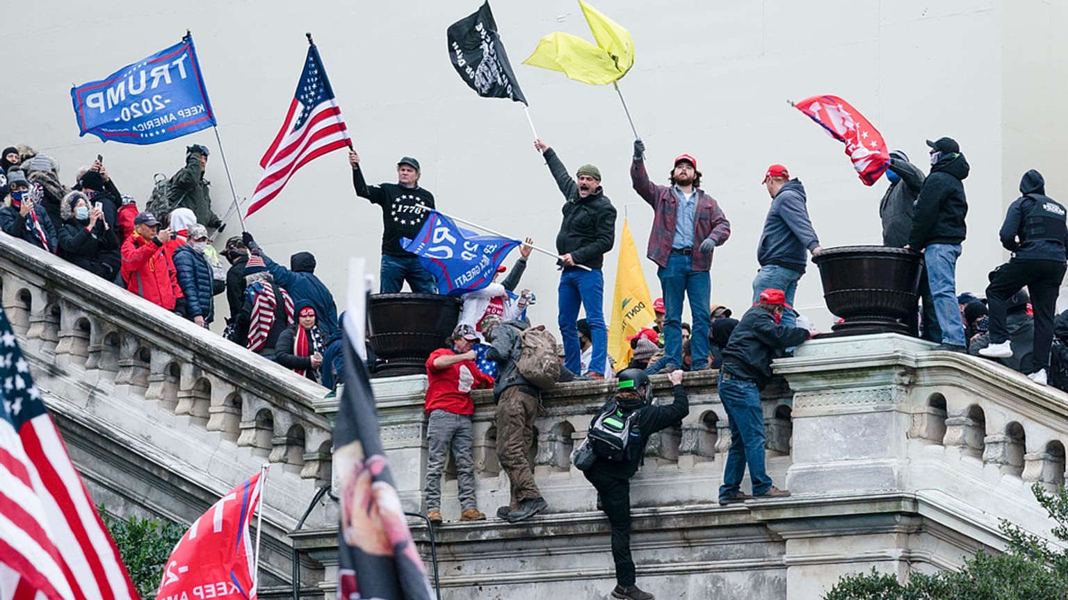 Les miliciens des "Proud Boys" lors de l'assaut du Capitole à Washington le 6 janvier 2021