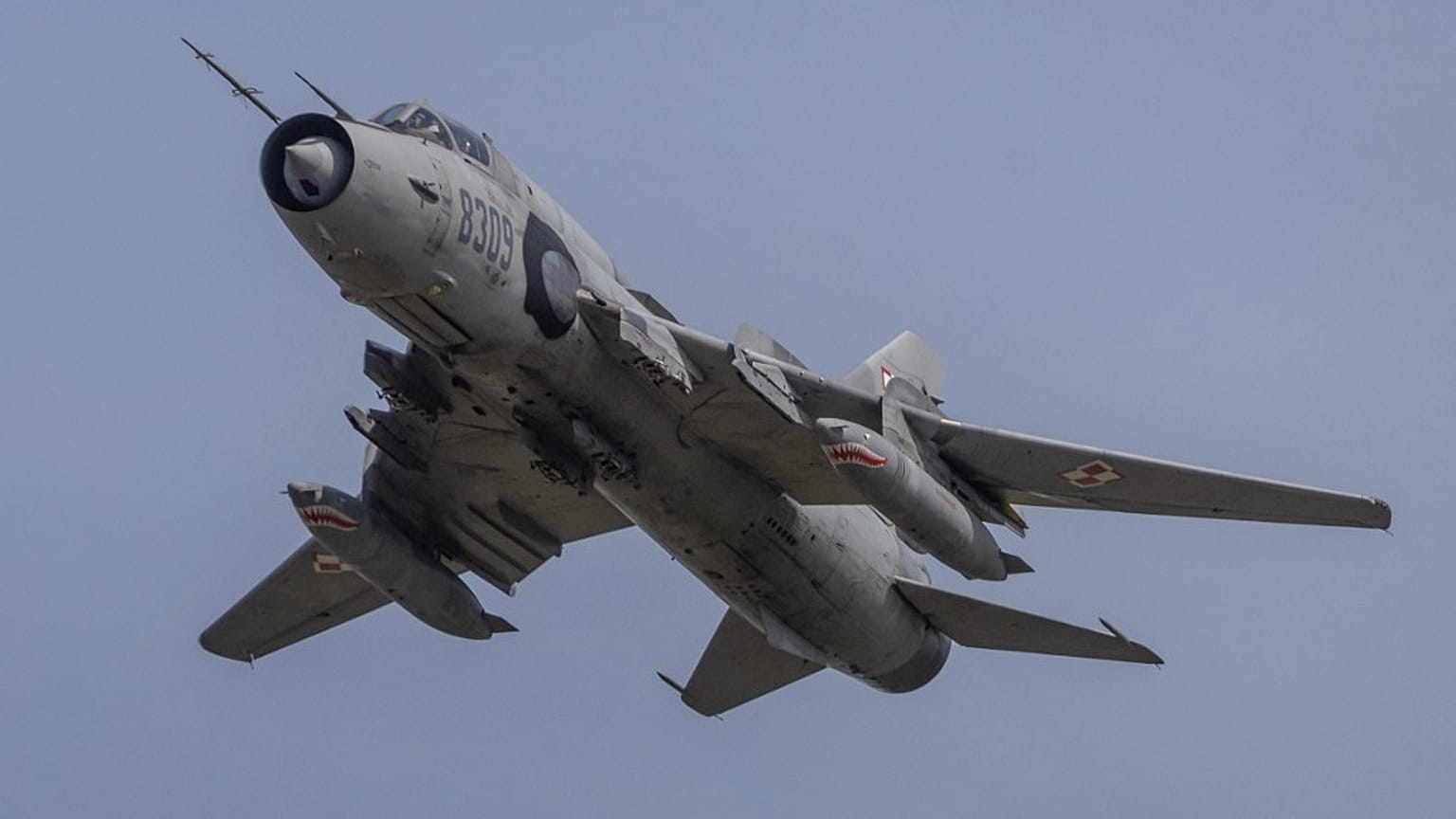 Polonya Hava Kuvvetlerine ait Su-22  savaş uçağı (arşiv) 