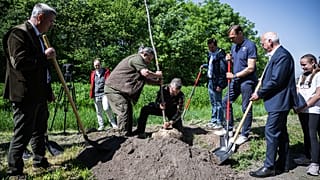 Faültetés a Pilisi Parkerdő munkatársaival a XX. kerületi Újtelepi-parkerdőben 2023. május 8-án Jon Ridgeon (jobbról a 3.) és Németh Balász (j4) részvételével. 