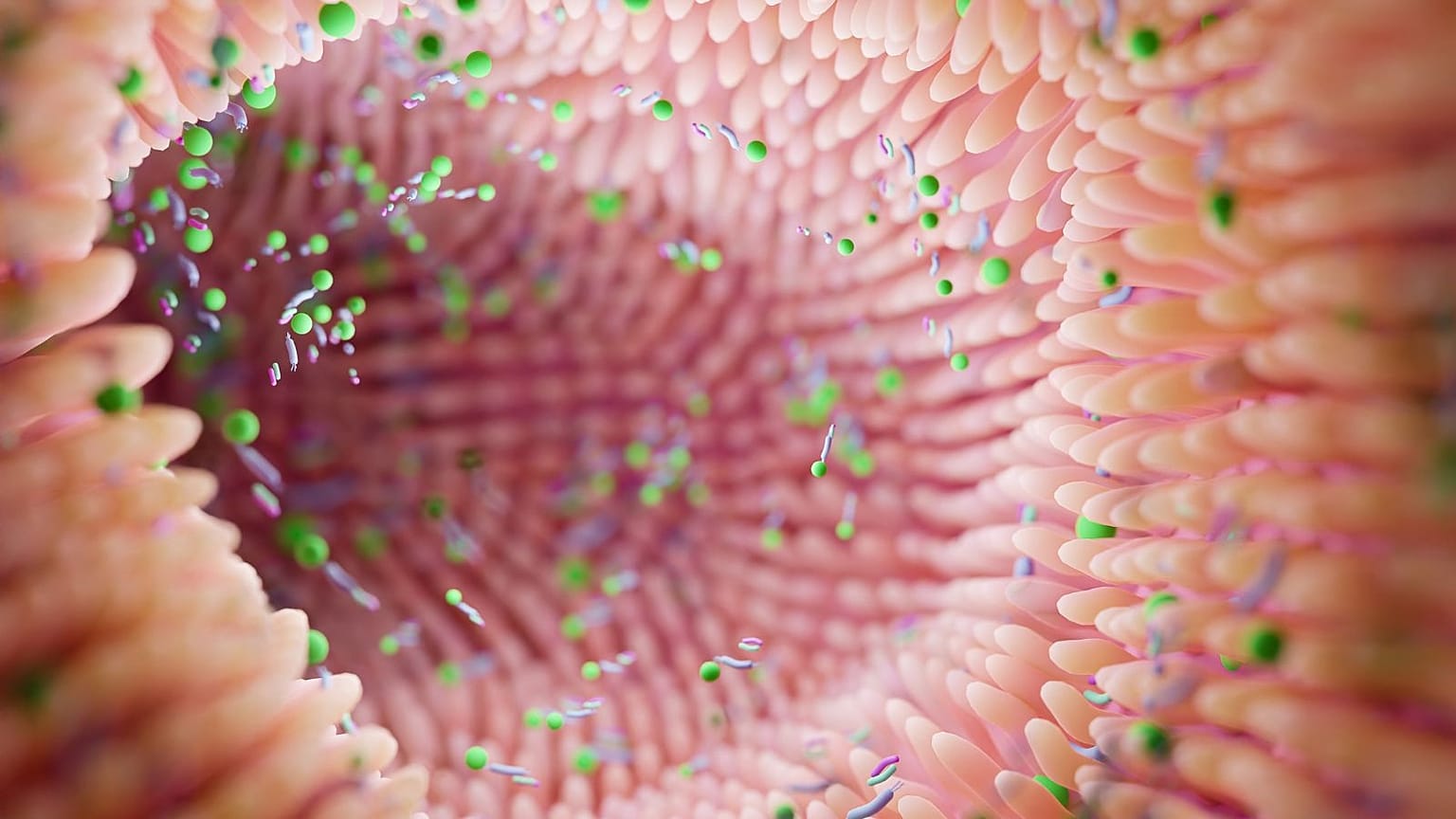 Finish scientists say they have found that certain strains of gut bacteria are also the probable cause of Parkinson's disease.
