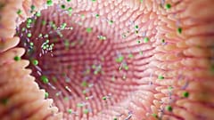 Финские учёные утверждают, что ключевую роль в развитии болезни Паркинсона может играть обычная бактерия.