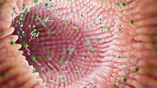 Finish scientists say they have found that certain strains of gut bacteria are also the probable cause of Parkinson's disease.