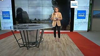Euronews correspondent Sasha Vakulina. 