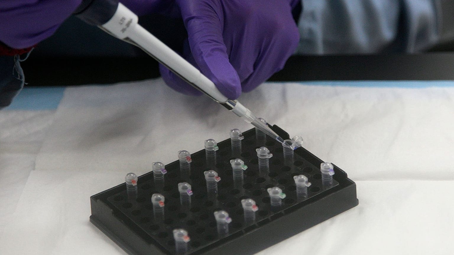 El controvertido tratamiento de donación mitocondrial supone que un tercer progenitor aporta unos 37 genes al bebé