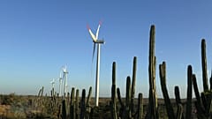 Investitionen in die Grüne Revolution