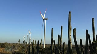 Invertir en la 'revolución verde' para vencer la batalla contra el cambio climático 