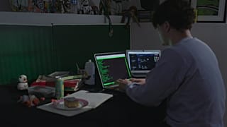 Qui sont ces pirates informatiques néophytes appelés script kiddies ?