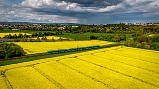 Eine U-Bahn fährt an blühenden Rapsfeldern in Frankfurt am Main vorbei, Freitag, 5. Mai 2023. Bemerkung: Der Zug im Bild wird nicht bestreikt.