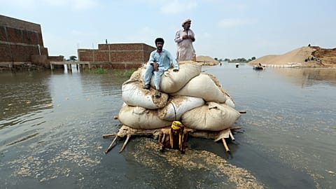 Victims of catastrophic flooding in Pakistan use a makeshift barge to carry hay for cattle in Jaffarabad, September 2022.