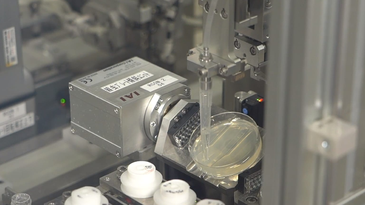 N-Nose uses nematode worms and urine to screen cancer in patients.