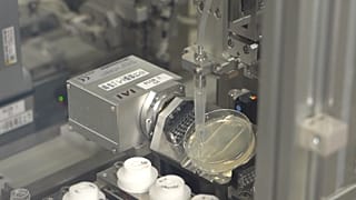 N-Nose uses nematode worms and urine to screen cancer in patients.