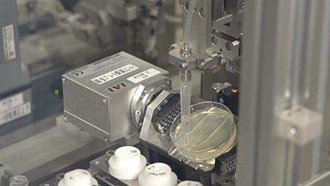 N-Nose uses nematode worms and urine to screen cancer in patients.