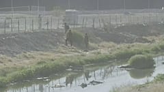 Das Ufer des Rio Grande an der Grenze zwischen Mexiko und den USA. 