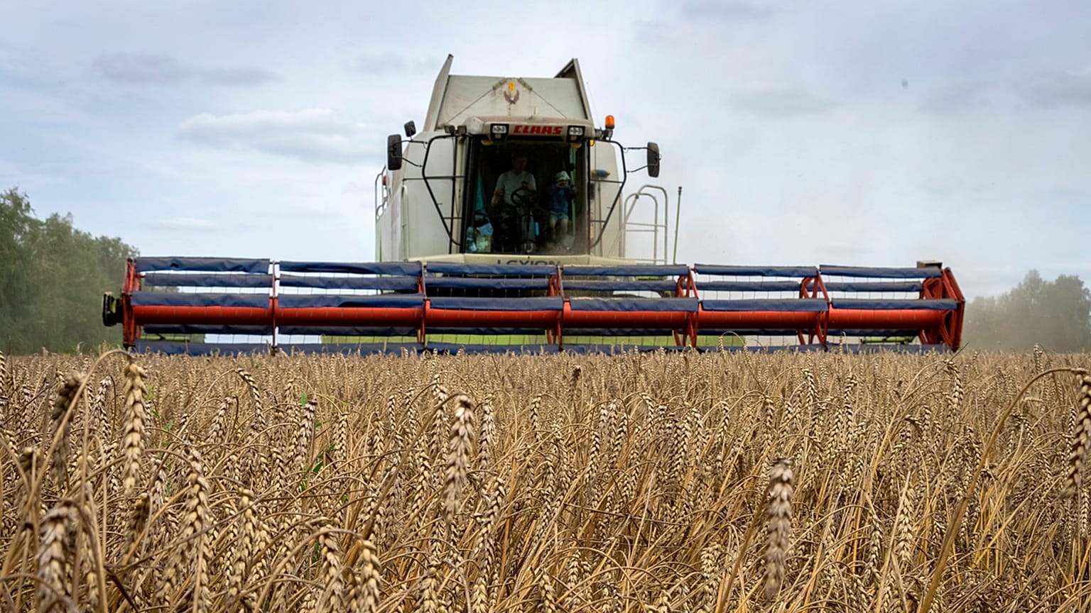 Many developing countries around the world rely on Ukraine's low-cost grain, whose trade has been upended by Russia's invasion.