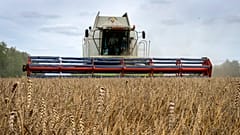 Many developing countries around the world rely on Ukraine's low-cost grain, whose trade has been upended by Russia's invasion.