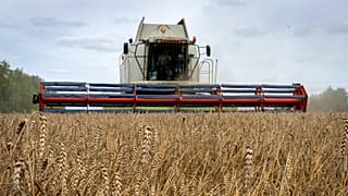 Many developing countries around the world rely on Ukraine's low-cost grain, whose trade has been upended by Russia's invasion.
