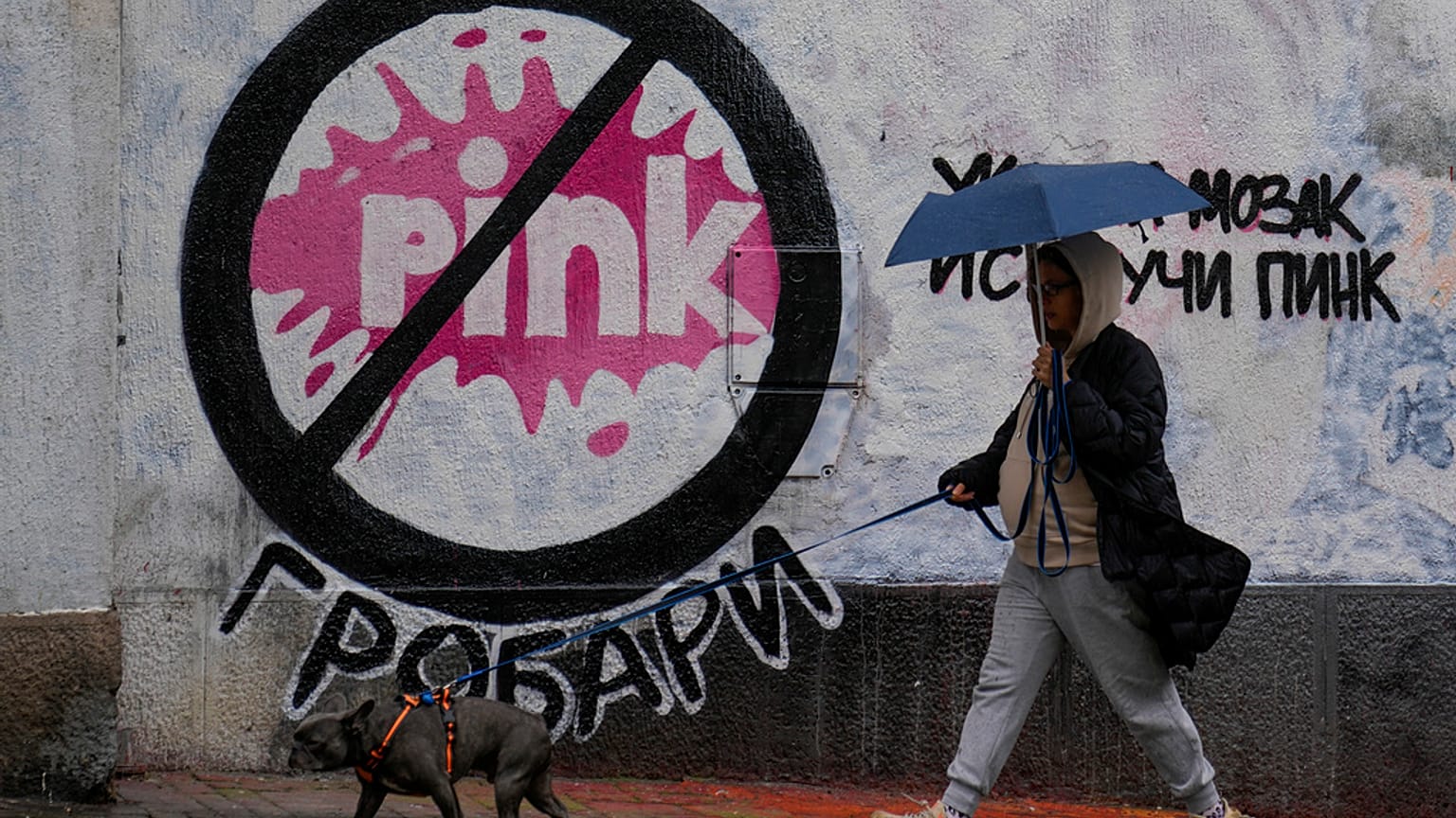Sırbistan'da suçu öven ve şiddet dozu yüksek reality şovlar yayınlayan Pink TV'ye tepki