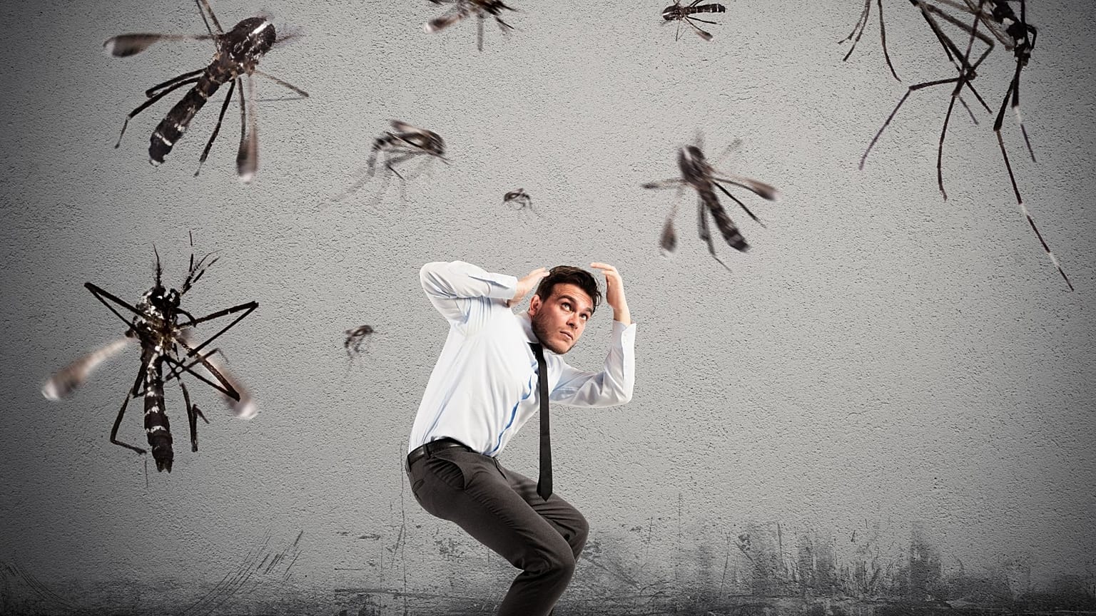 عکس تزیینی است