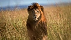 Kenya