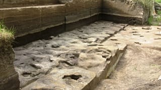 قدیمی‌ترین ردپای انسان