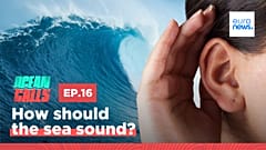 Ocean Calls. Episode 16.