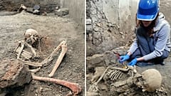 Скелеты, обнаруженные в Помпеях