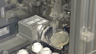 Kanser koklayan solucanlar teşhiste yeni bir sayfa açıyor