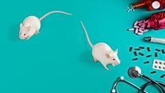 Genetically modified mouse models: Why scientists still need (and love) lab mice