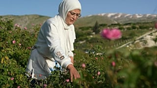 قرى الورد في لبنان