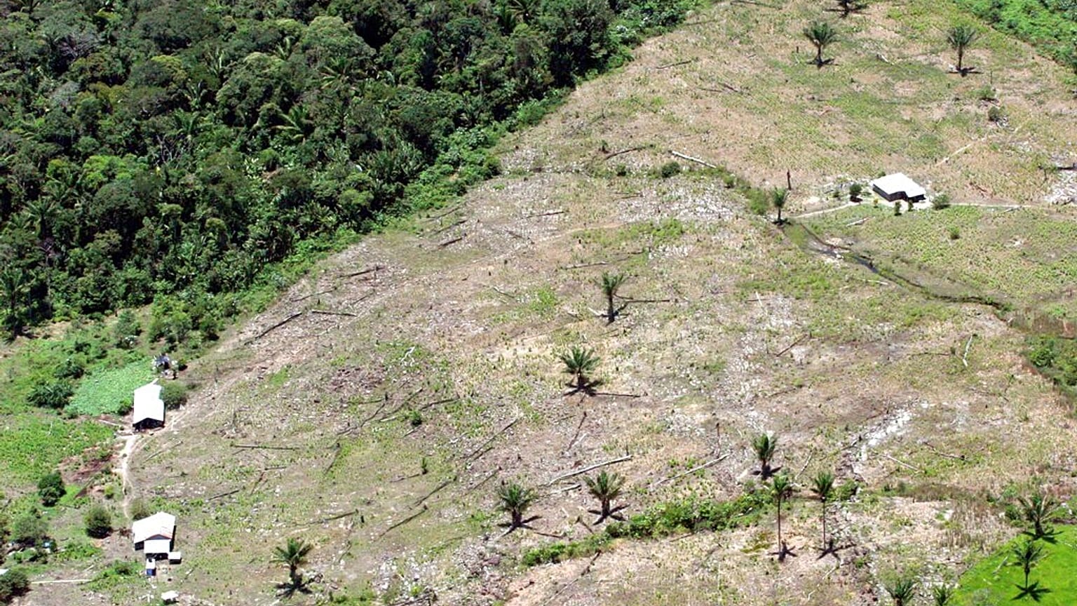 FILE&ILLUSTRATION: virgin rainforest in Colombia's Sierra Macarena Natonal Park on Aug. 26,2005.