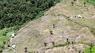 FILE&ILLUSTRATION: virgin rainforest in Colombia's Sierra Macarena Natonal Park on Aug. 26,2005.
