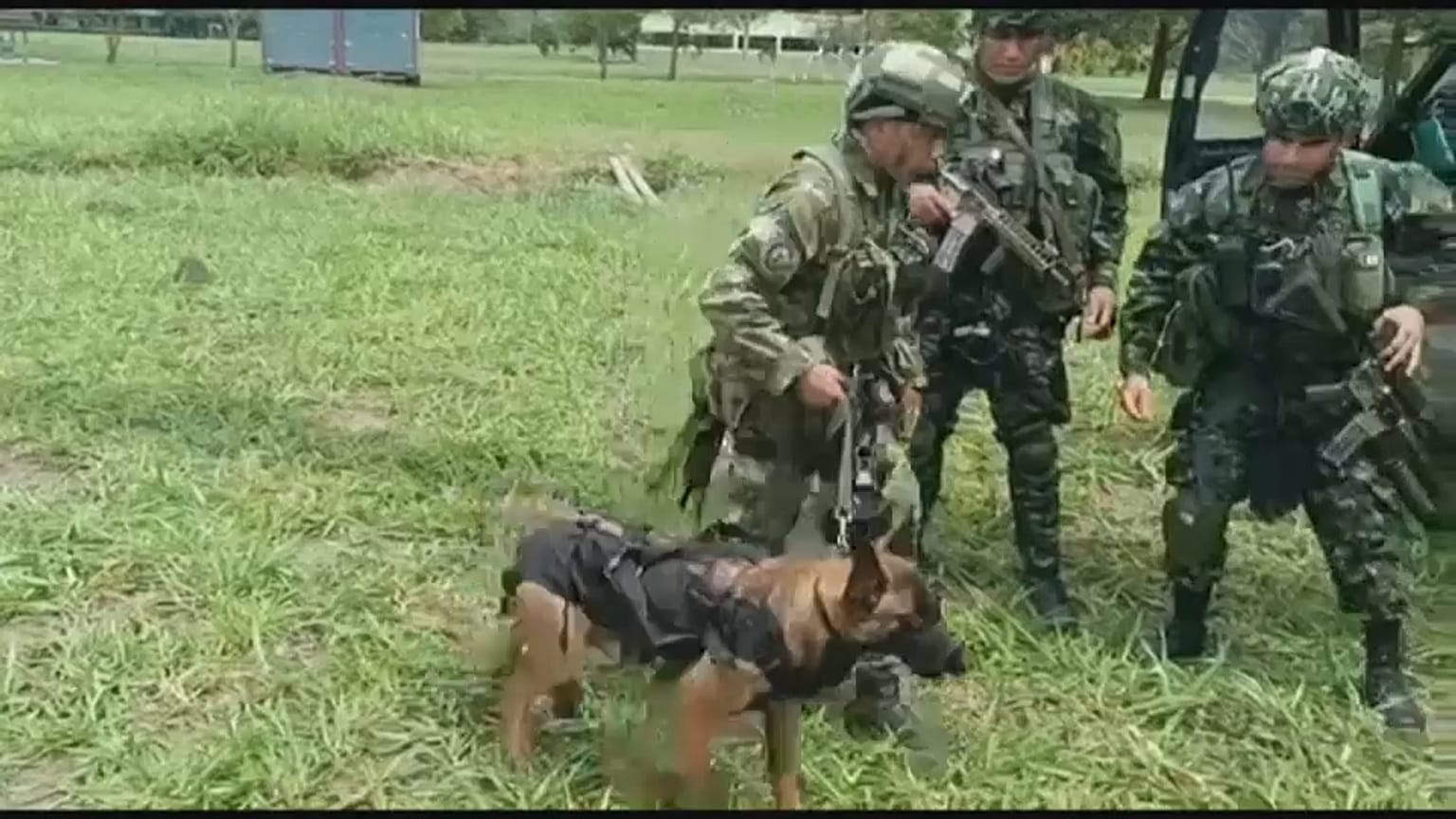 Kolombiya'da uçak kazasında kaybolan 4 çocuk iki hafta sonra kurtarıldı