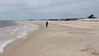 Miles of empty beach and billions of sea shells await a lone beachcomber at St. George Island State Park near Apalachicola in the Florida Panhandle.