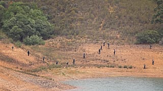 A new search operation has begun at the Arade dam