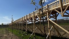Az elhíresült lombkoronasétány Nyírmártonfalván