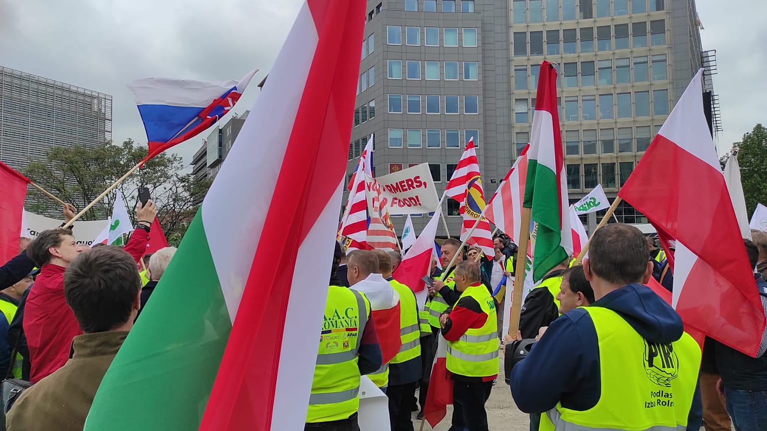I manifestanti si sono radunati nella rotonda Schuman, di fronte alla Commissione europea