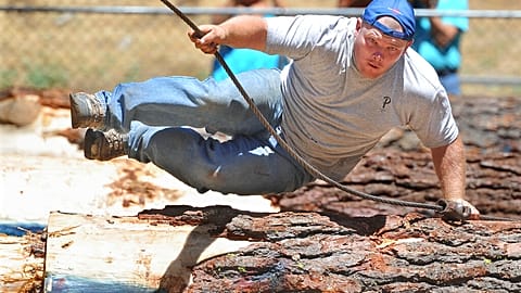 Logger.