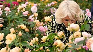 Queen Camilla at this year's female-led Chelsea Flower Show