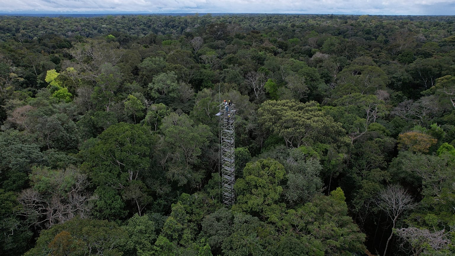 Workers appear on a tower that will be part of a complex of towers arrayed in six rings to spray carbon dioxide into the rainforest north of Manaus, Brazil.
