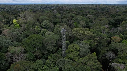 Workers appear on a tower that will be part of a complex of towers arrayed in six rings to spray carbon dioxide into the rainforest north of Manaus, Brazil.